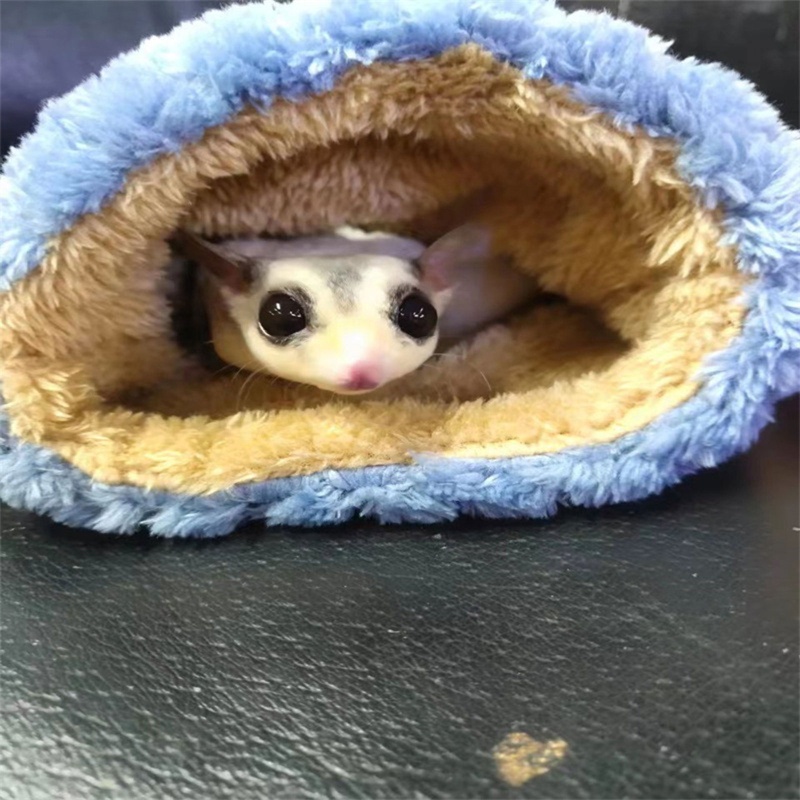Aoto Túi Ngủ Cotton Nhỏ Thoải Mái Dễ Thương Cho Sóc Chuột Hamster Chinchilla