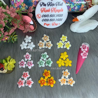 Hoa bột set 2 bông : hoa mai gân trang trí móng