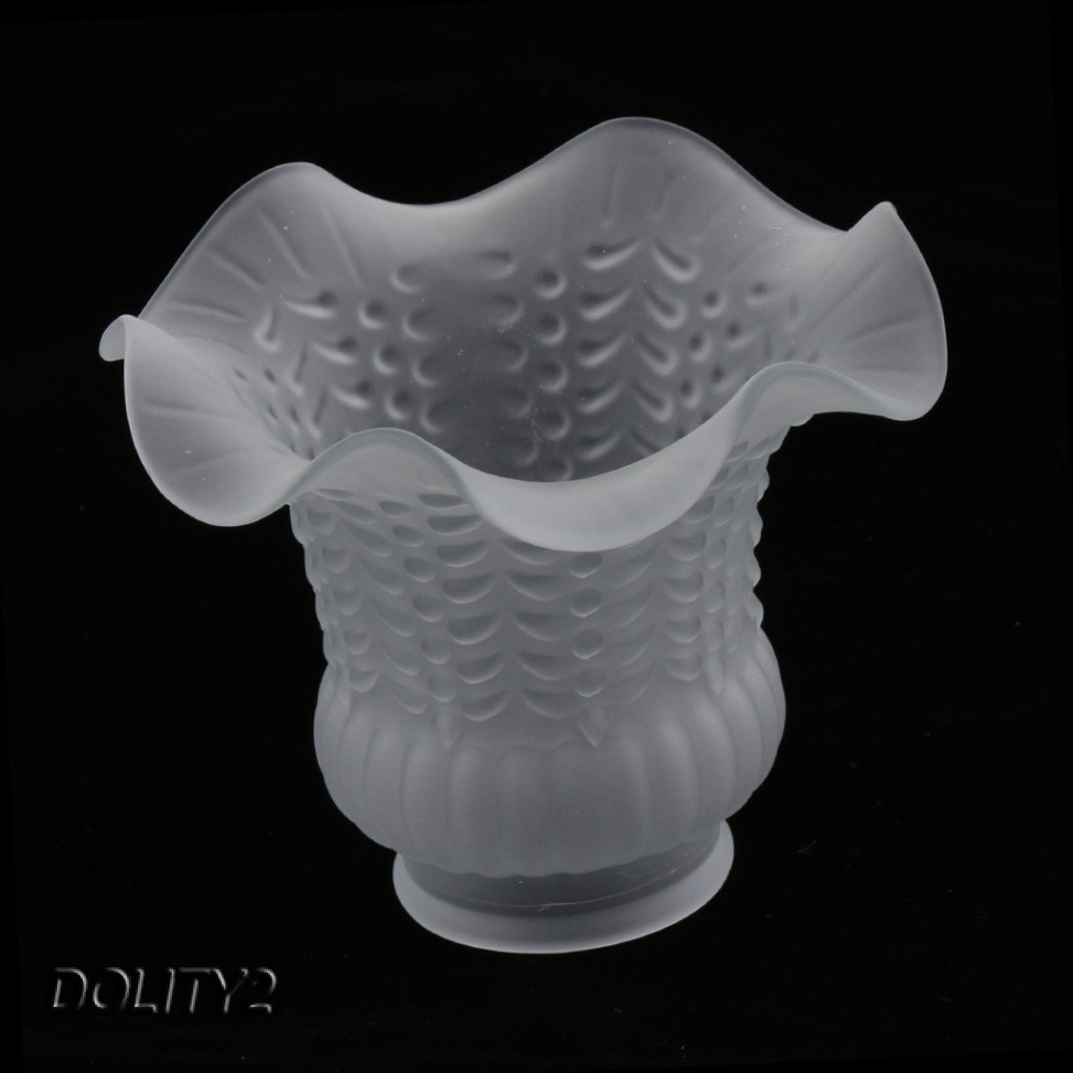 2pcs Glass Ceiling Fan Light Chandelier Wall Sconce Light Lamp Shades Cover