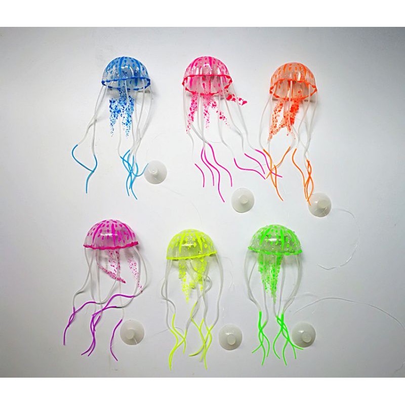 Sứa giả bỏ hồ cá,,,