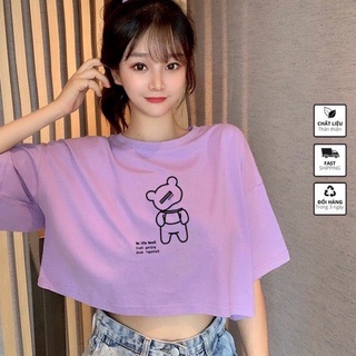 Áo thun Croptop in hình Gấu