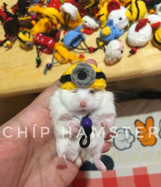 Nón len chụp ảnh ✨