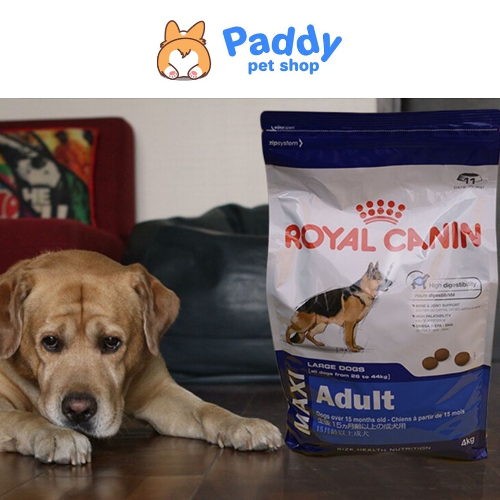 [Mã 229FMCGSALE giảm 8% đơn 500K] [1kg] Royal Canin Maxi Adult hạt cho chó trưởng thành giống lớn 26-44kg