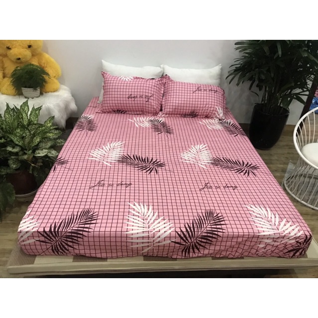 🍑 Vỏ chăn đông poly cotton có khoá kéo, mền hè mỏng không kèm ruột mẫu DIO 🍑