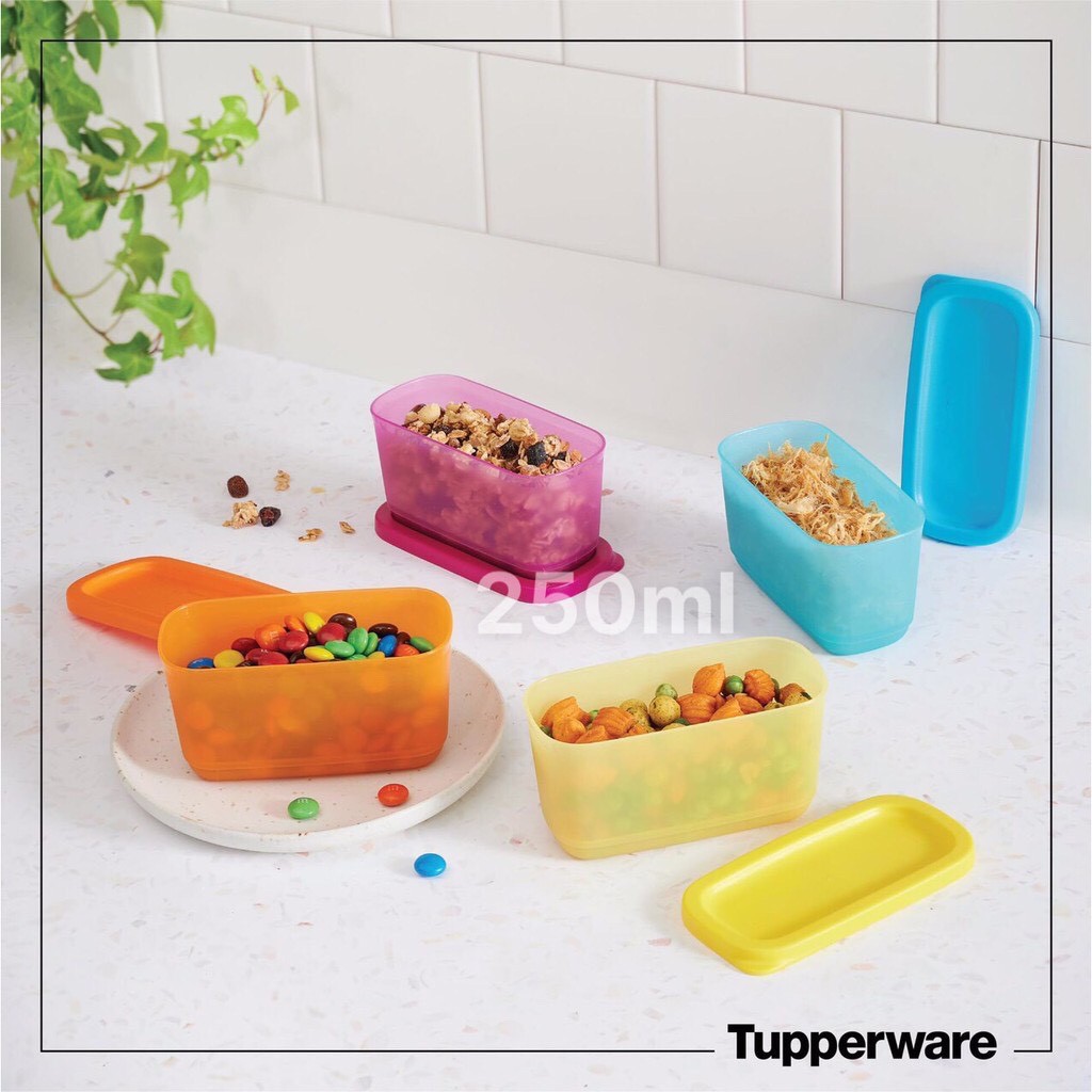 Bộ hộp trữ mát bảo quản thực phẩm Mini Rectangular set 4 hộp Tupperware nhựa nguyên sinh cao cấp