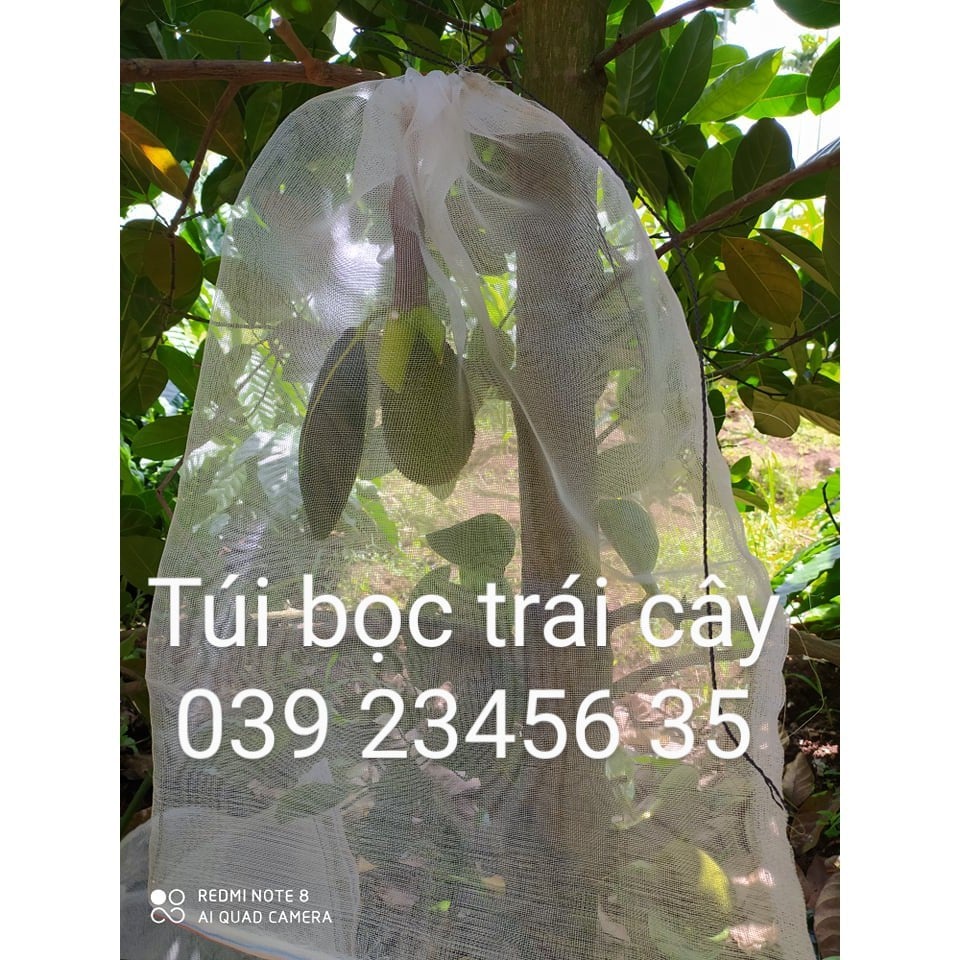 50 Cái 50*70cm Túi Cước Thái Bao Bọc Mít - Túi Bọc Trái Cây