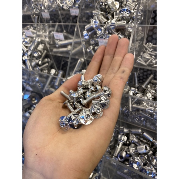 Ốc Salaya INOX304 size 4-5-6-8li xoắn - nhuyễn bắt dàn áo - đĩa