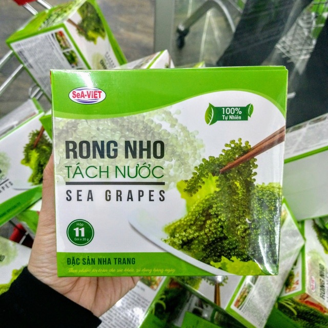 RONG NHO TÁCH NƯỚC
