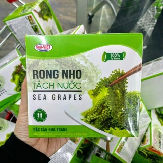 RONG NHO TÁCH NƯỚC