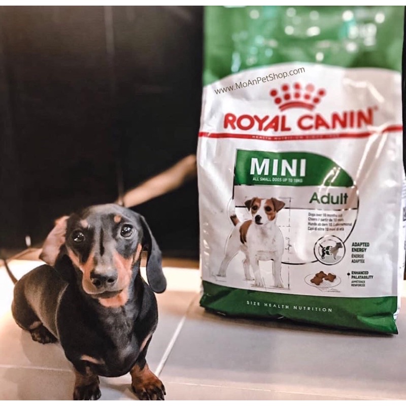 Royal canin bao tiết kiệm 20kg