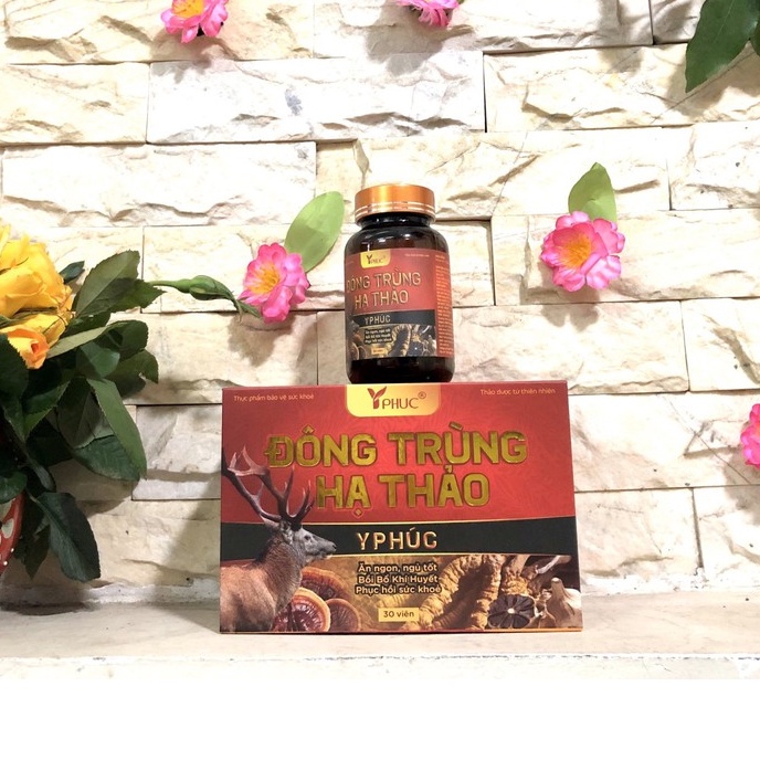 Đông Trùng Hạ Thảo Yphuc giúp bồi bổ khí huyết, tăng cường sức đề kháng, phục hồi cơ thể giúp ăn ngon ngủ tốt