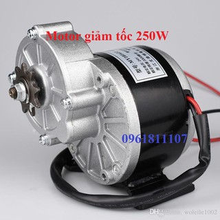Motor giảm tốc 12V 350W