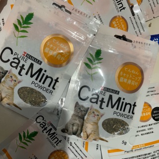 Cỏ bạc hà, cỏ mèo catmint 5g