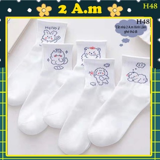|freeship| set 5 đôi tất vớ cao màu trắng họa tiết dễ thương nam nữ style hàn quốc, tất vớ nam nữ đẹp thời trang trend