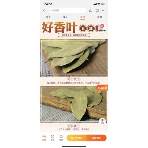 Lá nguyệt quế thơm ( bay leaf ) lá xanh đẹp
