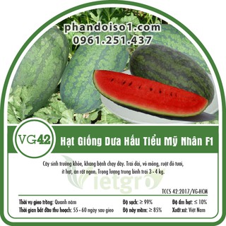 Hạt Giống Dưa Hấu Tiểu Mỹ Nhân F1 Vietgro (Gói 20gr)