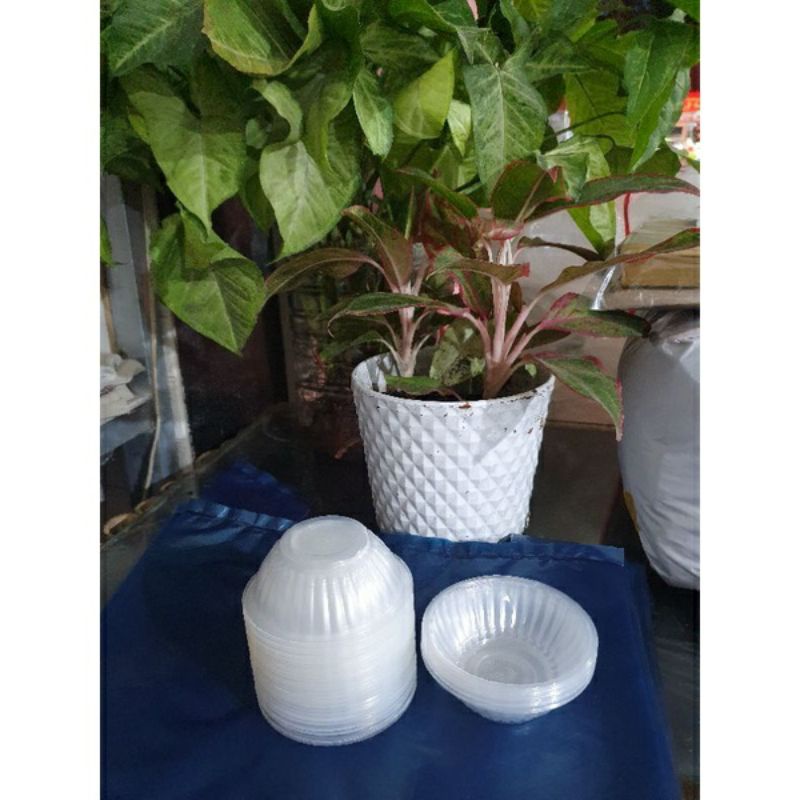 Lốc 50 chén chè 301- Chén 301 trong