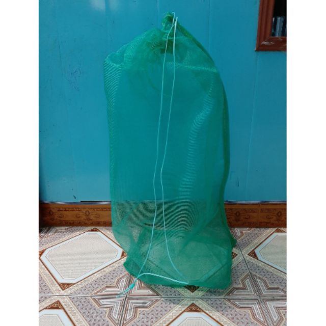 Túi đựng côn trùng