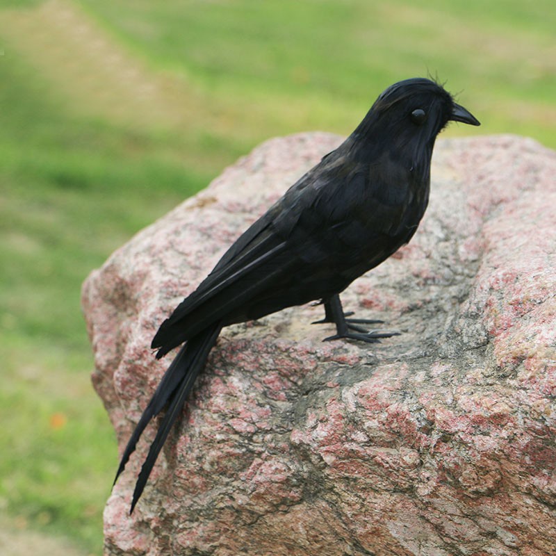 Anime Cosplay Demon Slayer: Kimetsu no Yaiba Naruto KamadoTanjirou Giyuu Zenitsu kanao prop