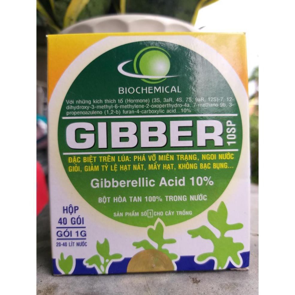 Phân Bón Lá GIBBER Kích Thích Tăng Trưởng