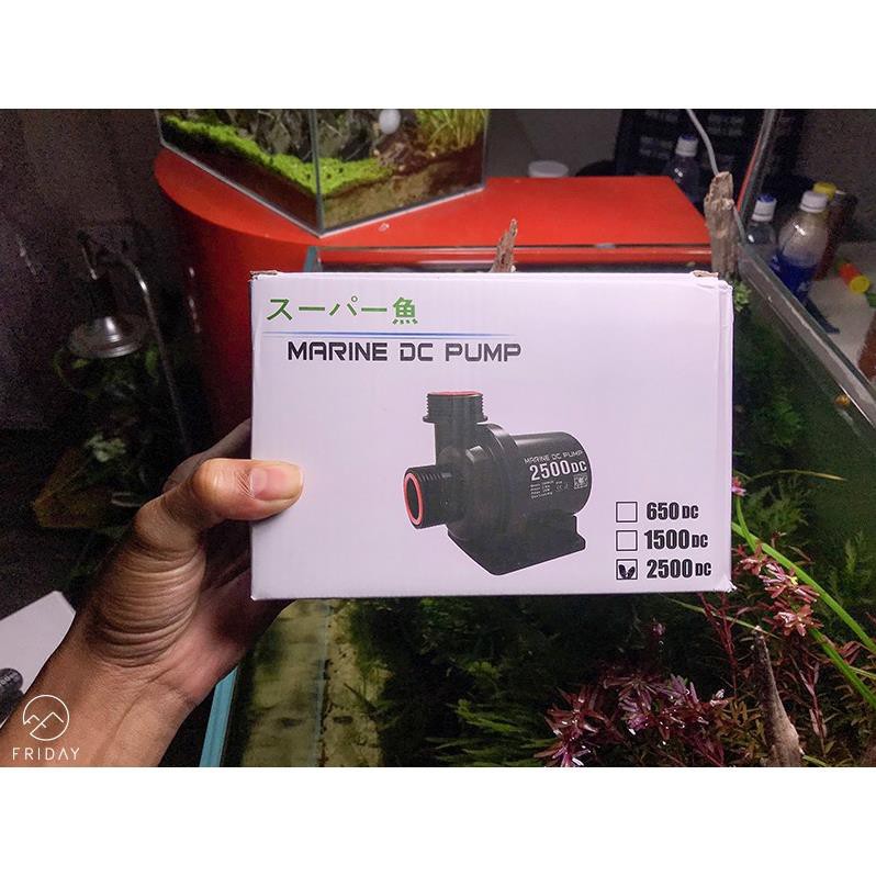 Bơm DC 24V chống giật Marine DC1500, DC2500, DC4000, DC6000