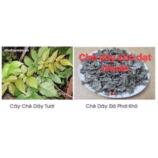 1 Kg Chè dây rừng hỗ trợ đau dạ dày hiệu quả