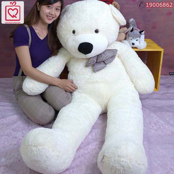 Gấu bông 1m8 khổng lồ Teddy Boyds