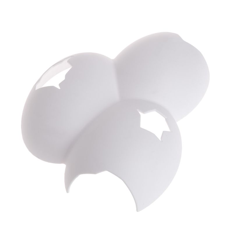 Hộp Nuôi Bò Sát / Bò Sát / Tarantula