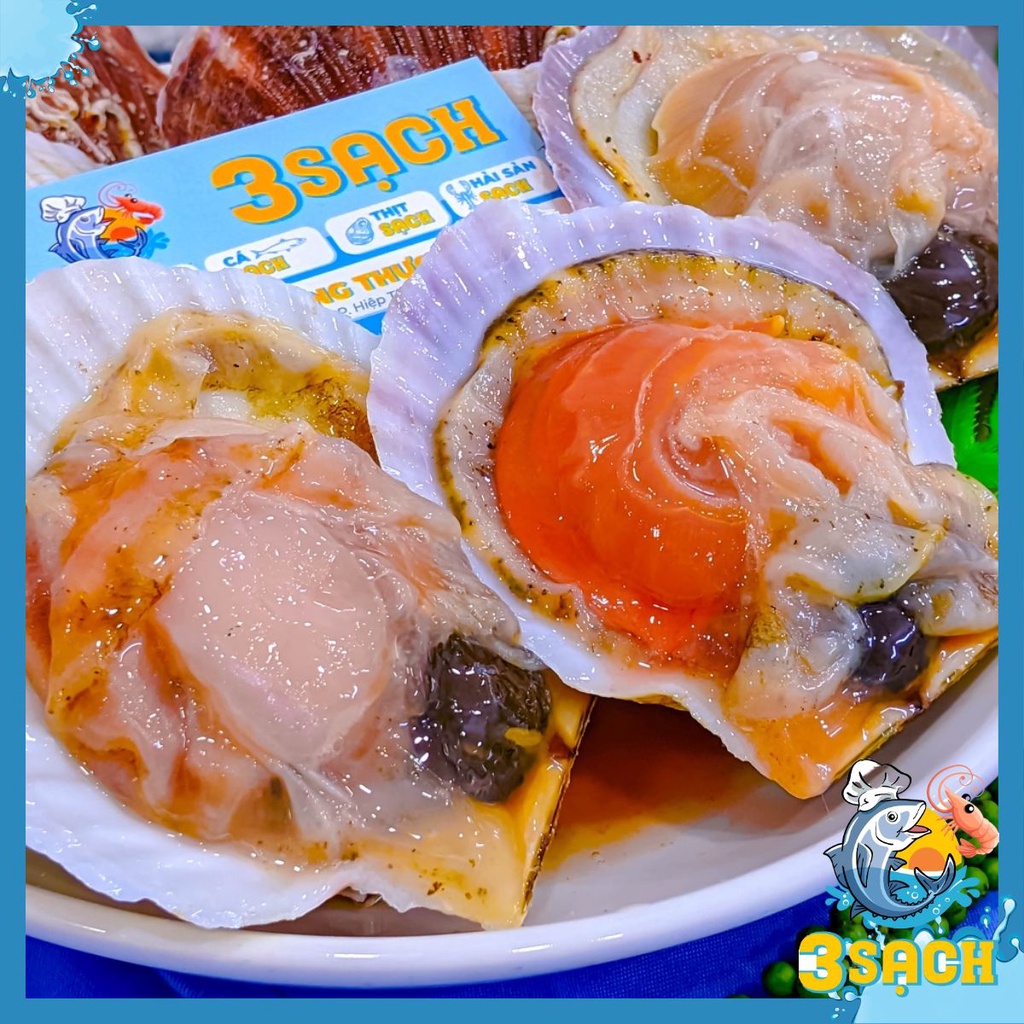 1KG Sò Điệp Nhật Loại To  Thực Phẩm 3 Sạch