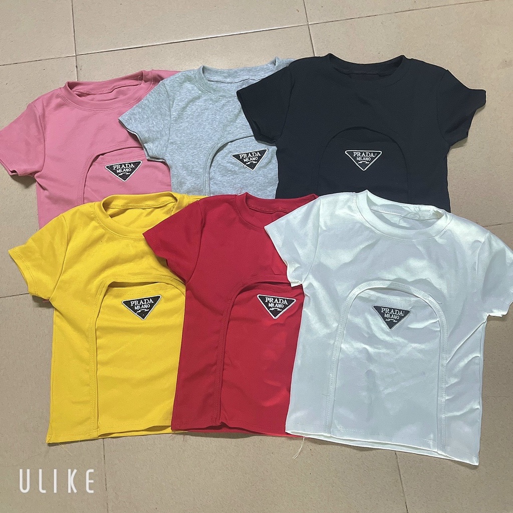 Áo kiểu tay ngắn khoét ngực thêu logo cực xinh , chất thun bozip mềm mịn ( ảnh thật )