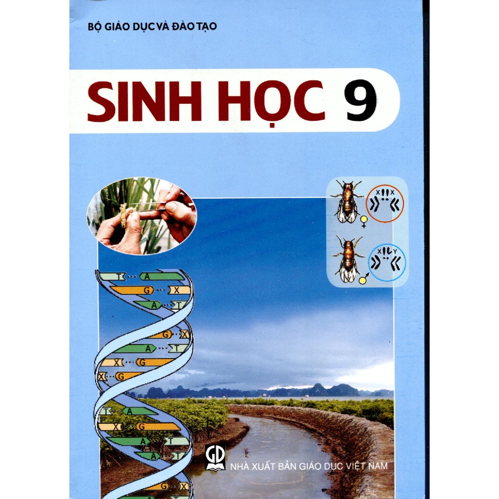 Sách - Sinh Học Lớp 9