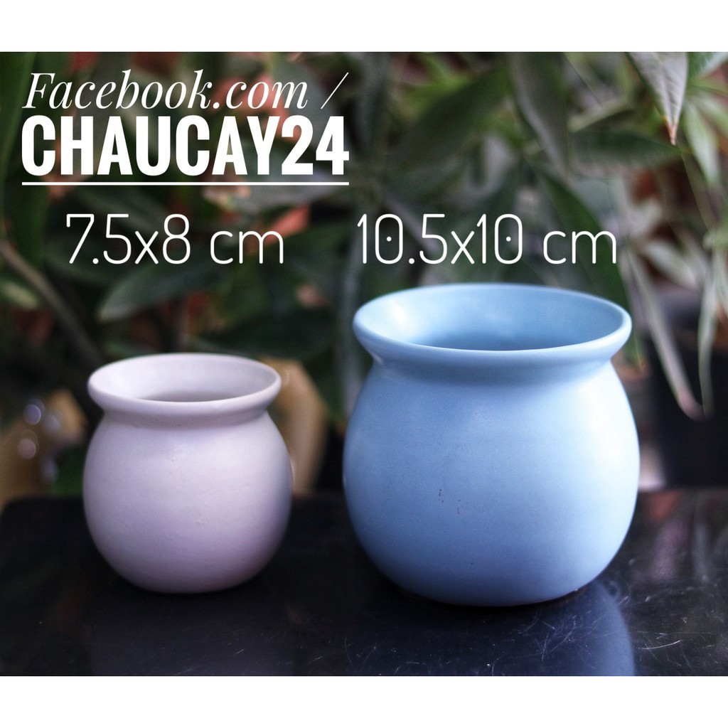 Chậu Sứ Trồng Cây Cảnh Để Bàn, Sen đá, Xương rồng, terrarium hình hũ loe