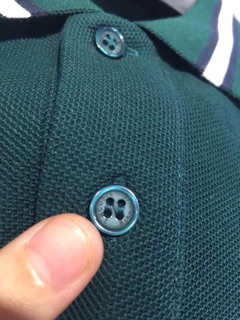 Áo polo 100% cotton cao cấp