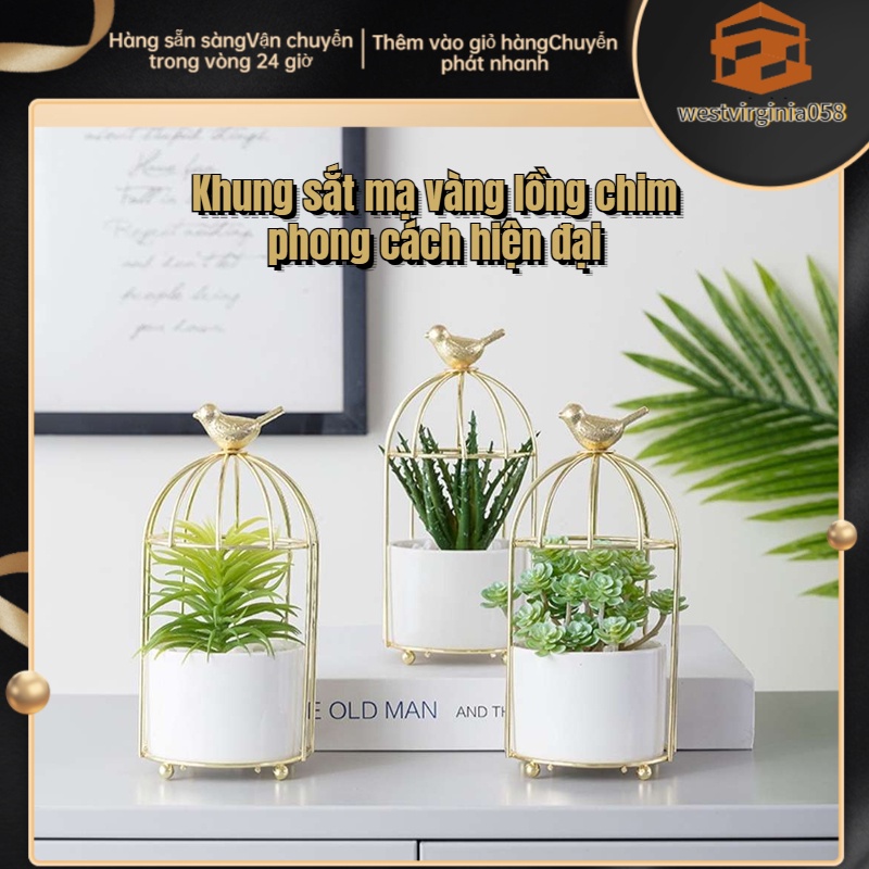Có thể bán buôn Chậu hoa kiểu lồng chim bằng khung sắt trồng cây mọng nước để bàn trang trí nội thất westvirginia058 Hàng giao ngay