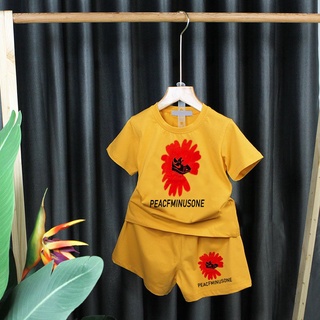 Bộ quần áo bé gái 4 10 tuổi thun cotton - Đồ bé gái size đại 25-45 kg xuất khẩu