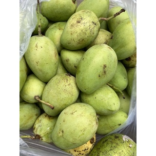 1kg Xoài Cát Chu