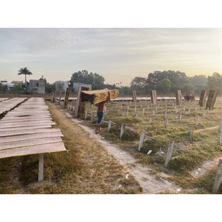 Bánh tráng muối tỏi(chuyên sỉ sll)