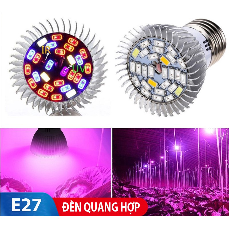 Đèn LED trồng cây - đèn quang hợp cho cây