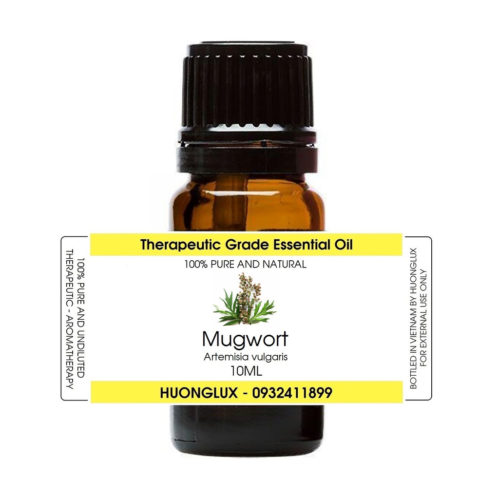 Tinh dầu Ngải cứu Mugwort Essential Oil (Wild Wormwood) | BigBuy360 - bigbuy360.vn