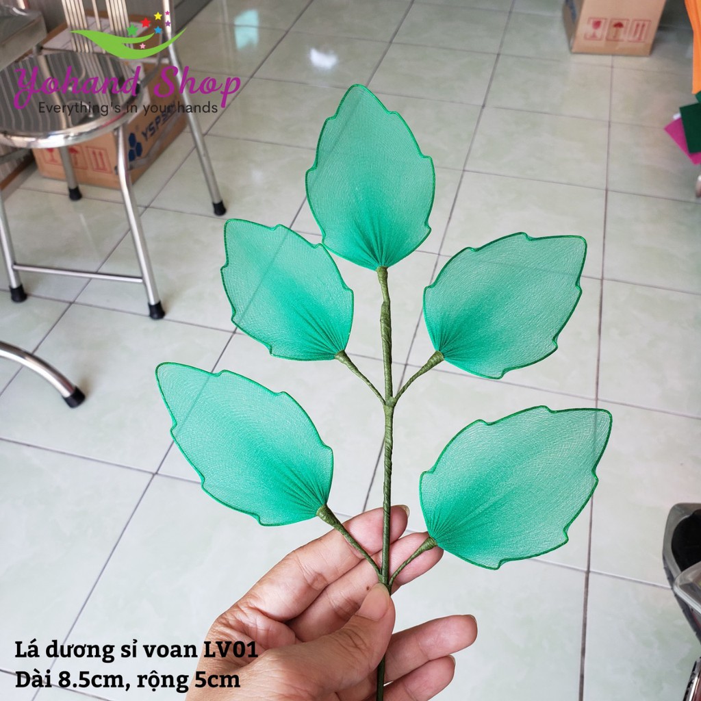 Lá voan dương sỉ LV01