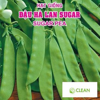 Hạt giống Đậu Hà Lan (Lấy Trái) (10g)