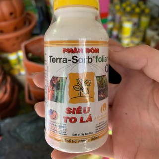 Terra sorb foliar – siêu to lá