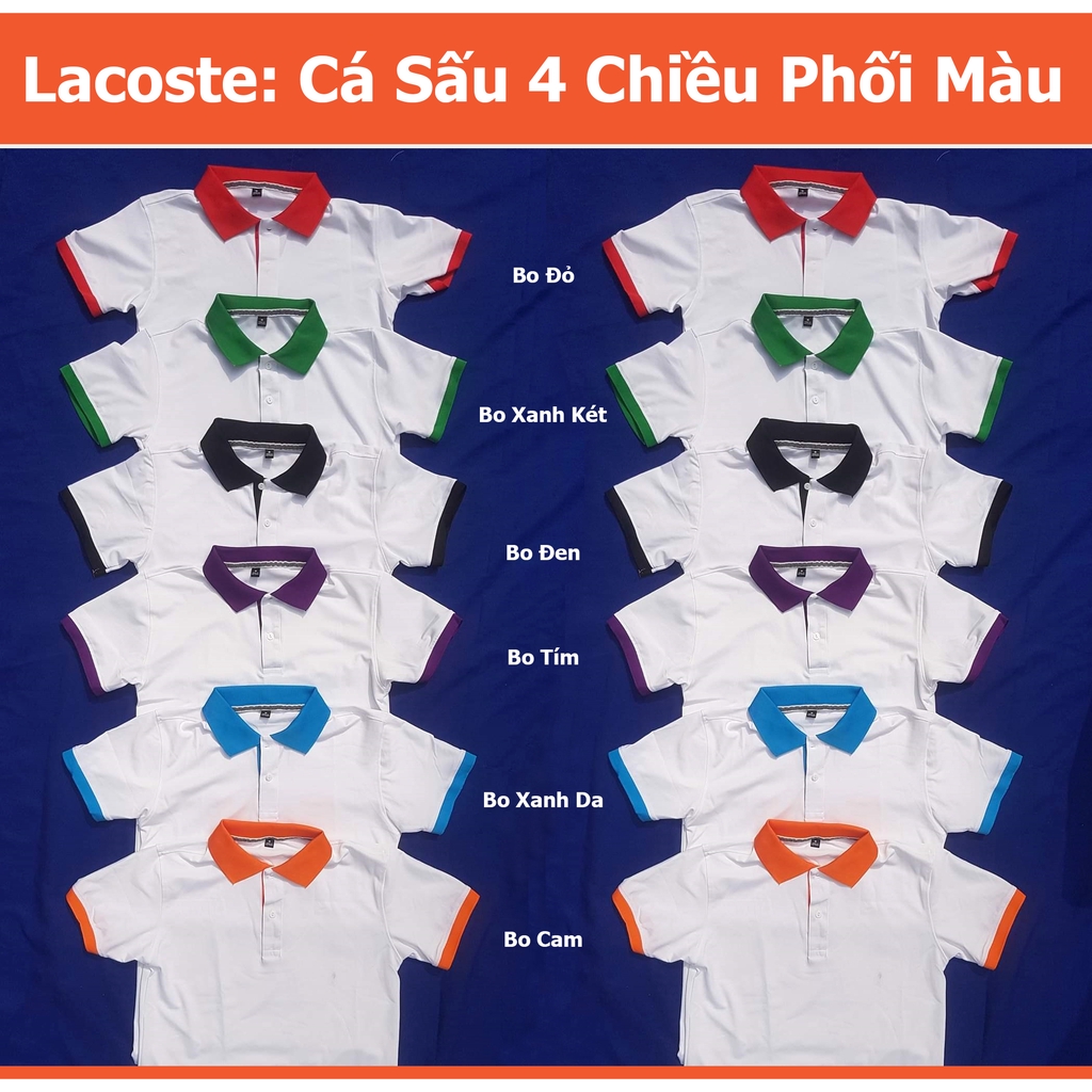 [Mã WASTUP giảm 10% tối đa 30K đơn 99K] Áo Thun Cá Sấu 4 Chiều Phối Màu Cổ Bẻ Co Dãn Thoáng Mát Không Xù Lông