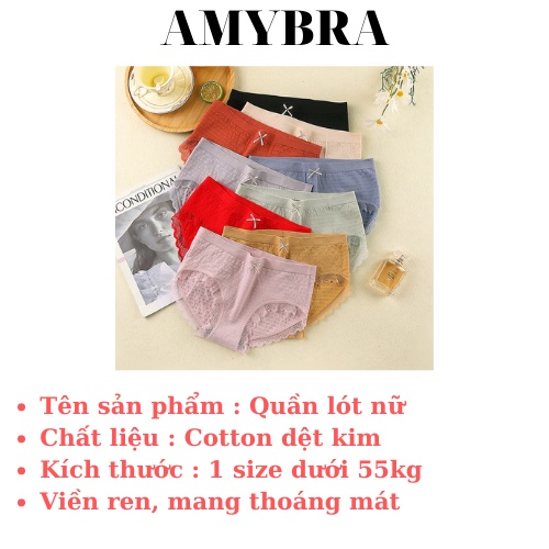 Quần Lót Nữ Dệt Kim 100% - Quần Lót Cotton Kháng khuẩn, Thấm Hút Mồ Hôi AMYBRA LQ12