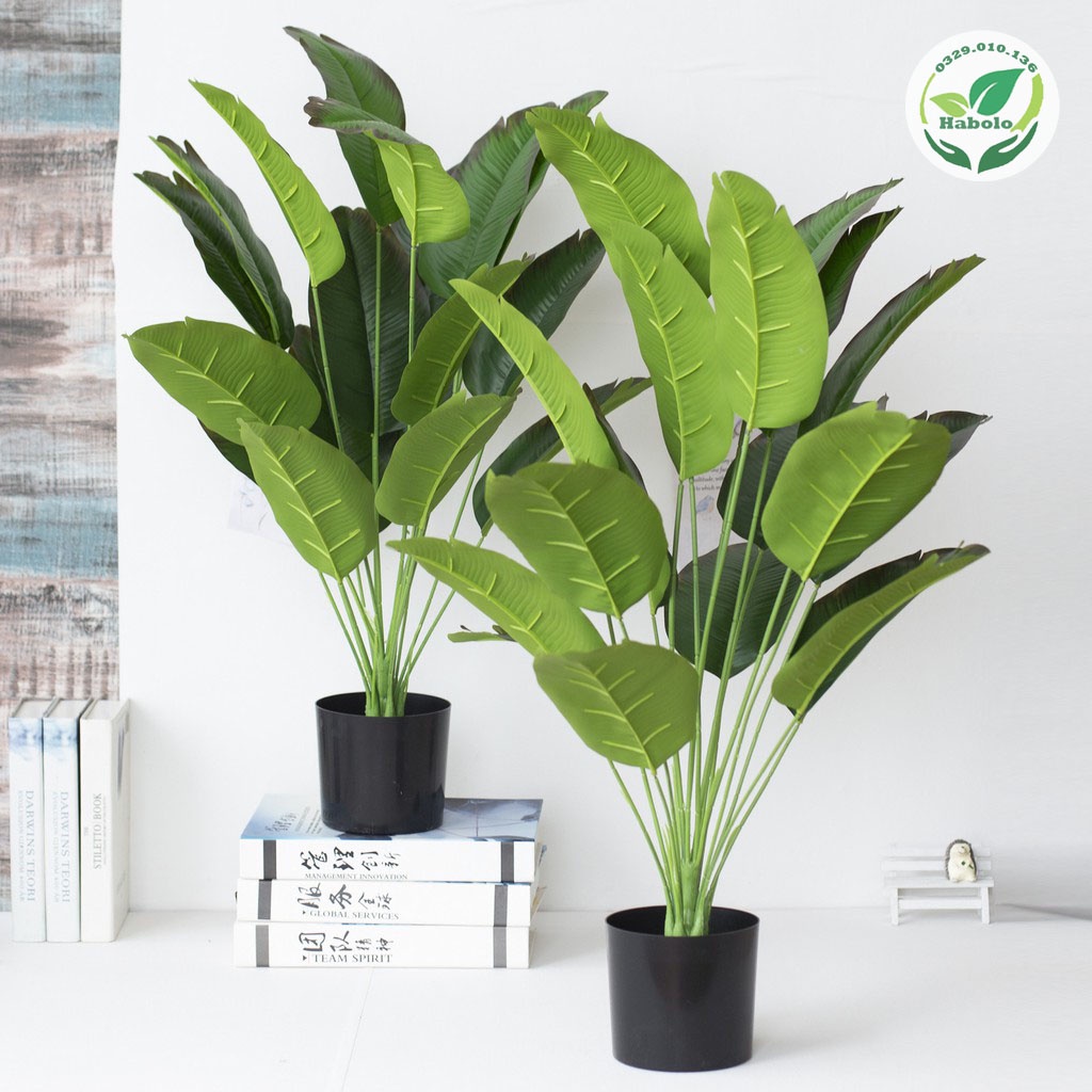 Cây chuối cảnh phong thủy 12 lá size to trang trí nội thất sang trọng - Cây hoa giả.
