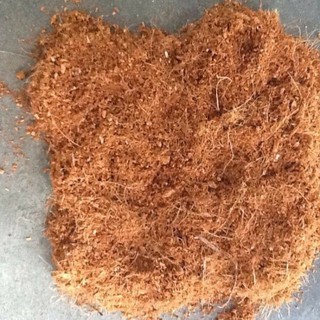 Mùn Dừa - Xơ dừa trồng bẫy kẹp/nắp ấm - Giá thể trồng cây gói 200 gr