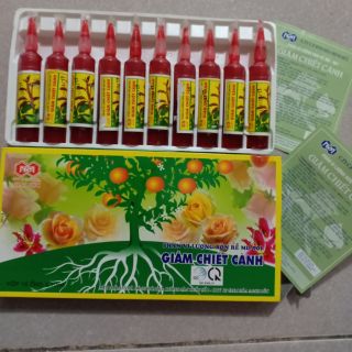 10 Ống giâm, chiết cành MD 901, phân bón vi lượng