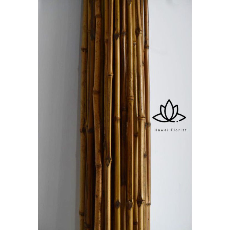Set 10 cây tre tự nhiên 190cm chuyên dụng | BigBuy360 - bigbuy360.vn