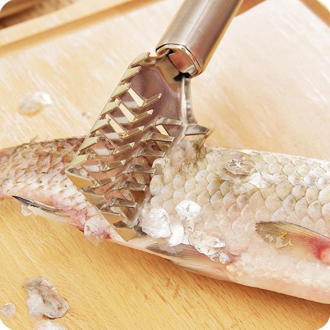 Dụng Cụ Lóc Vảy Cá - Đánh Da Cá Siêu Bền