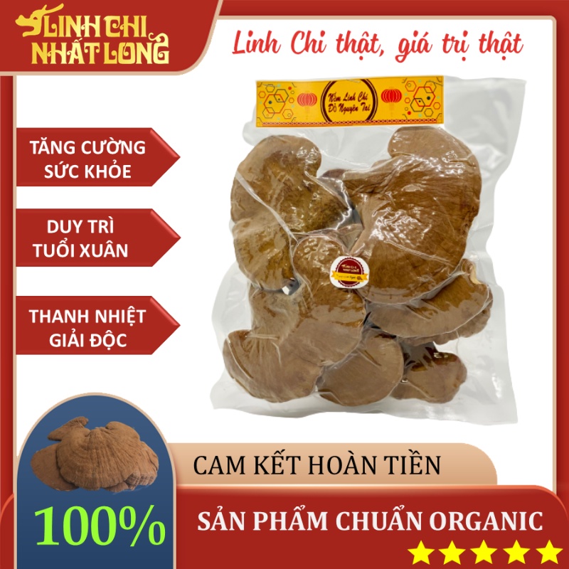 Nấm Linh Chi Đỏ Nhất Long Chính Hãng, Còn Bào Tử Thượng Hạng Dạng Túi - 100gr 🛒 Hàng Chuẩn
